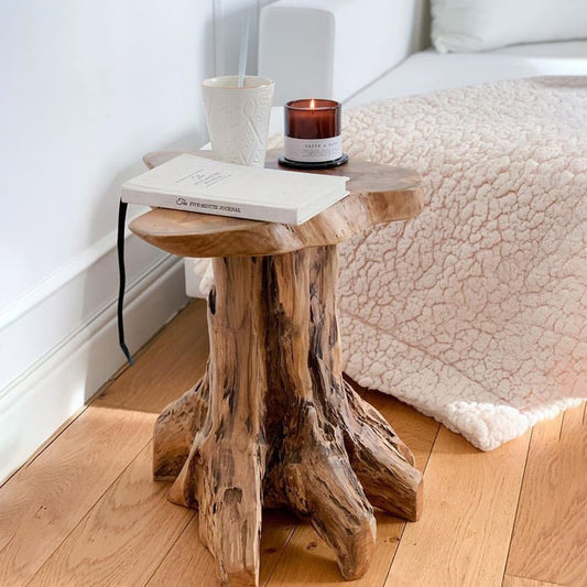 Natural Irregular Tree Stump Side Table, Organic Plant Stand